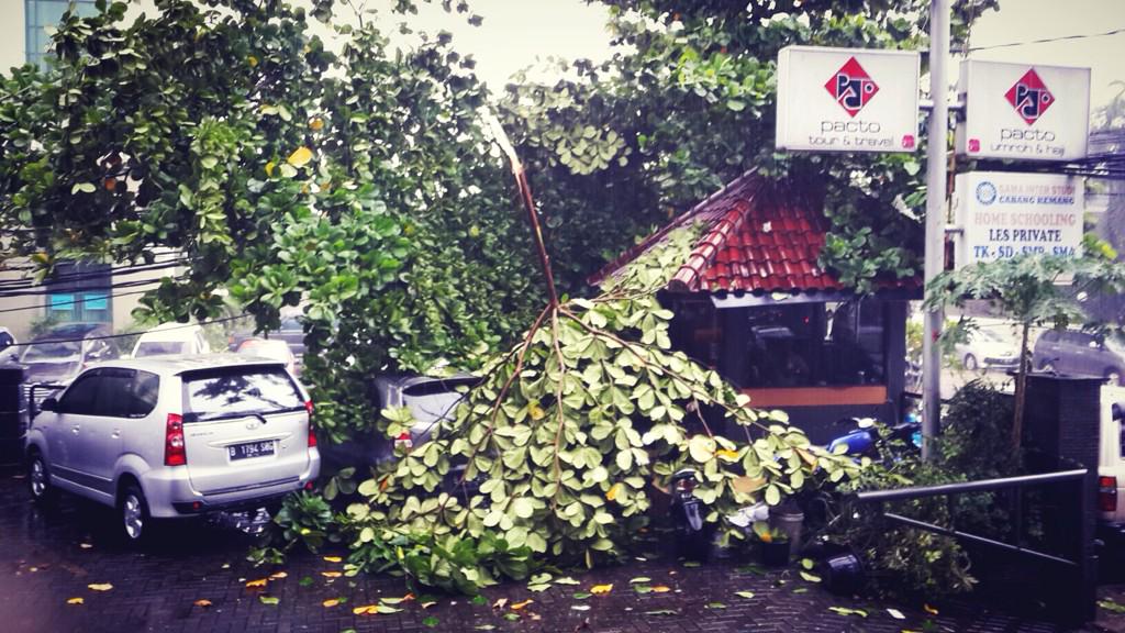 Depan kantor pohon tumbang dan banjir. Hati2 yg melintas di Taman kemang dan sekitar Kemchick